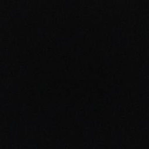 Meet your Posher, Damini